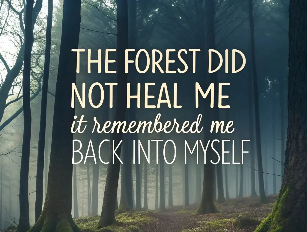 The Forest Did Not Heal Me