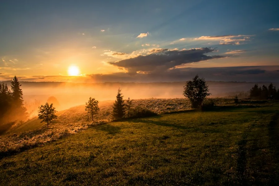 Warm morning sunlight across a peaceful landscape