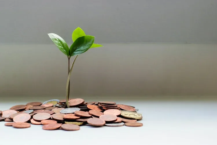 Coins and financial planning representing money beliefs
